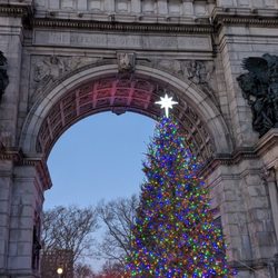 Grand Army Plaza - The Christmas Tree at Grand Army Plaza.