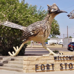 Roadrunner across the street. Roadrunner across the street.