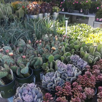 The Home Depot - Nurseries & Gardening Near Me - Grand Prairie, Texas