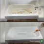Photo of Campos Bathtub Reglazing