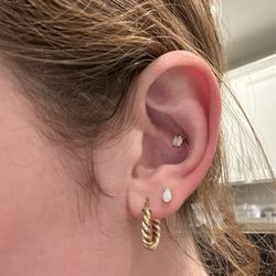 Absolute Tattoo & Piercing - My conch done by tevita this week