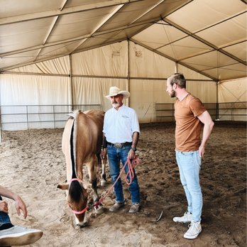 Star Brite Riding Academy - Horseback Riding - Horseback Riding Near Me - Norco, California Star Brite Riding Academy - Horseback Riding - Horseback Riding Near Me - Norco, California