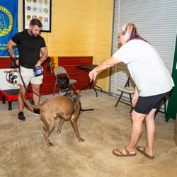 The Canine Clubhaus