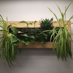Greenery Office Interiors