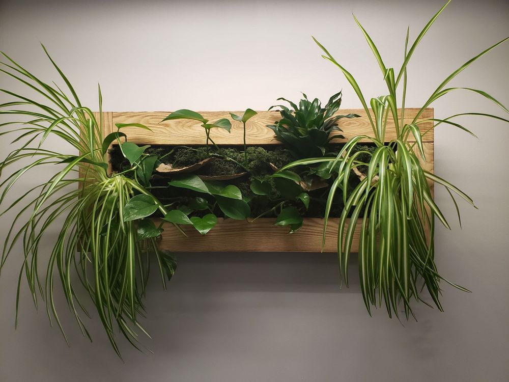 GREENERY OFFICE INTERIORS Updated July 2024 10 Photos 6912