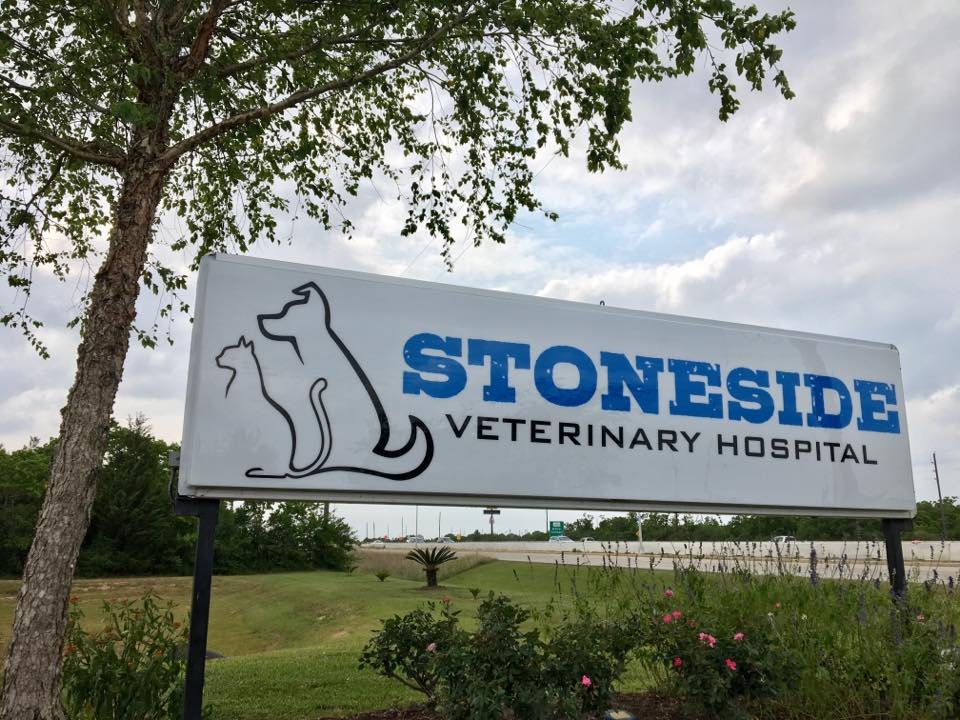 STONESIDE VETERINARY HOSPITAL Updated May 2024 14 Photos & 12