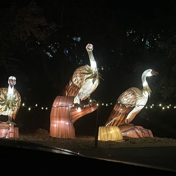 Zoolights - Zoos Near Me - Phoenix, Arizona