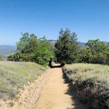 Volcan Mountain Preserve - Trail - Hiking Near Me - Julian, California Volcan Mountain Preserve - Trail - Hiking Near Me - Julian, California