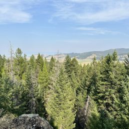 The view The view