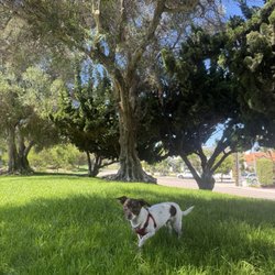 Veterans Parkway - Fridalida approved ^_^