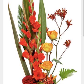 Alicia's Flowers - The photo of the arrangement on their website for reference. - Florists Near Me - Newport Beach, California Alicia's Flowers - The photo of the arrangement on their website for reference. - Florists Near Me - Newport Beach, California