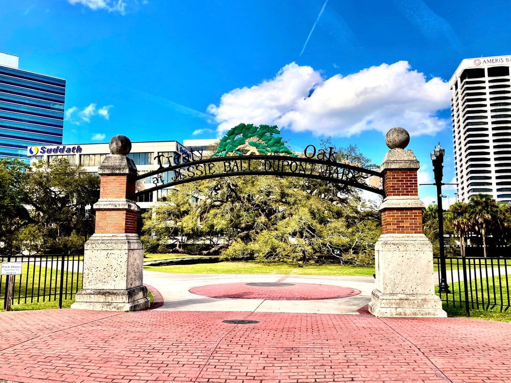 Treaty Oak Park Image