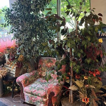 Cozy District Cafe - Inside - New American Near Me - Fairfax, Virginia