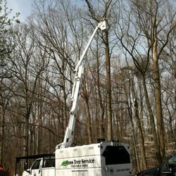 Ross Tree Service