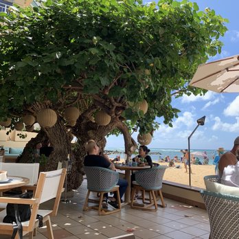 Hau Tree - Seafood Near Me - Honolulu, Hawaii Hau Tree - Seafood Near Me - Honolulu, Hawaii