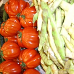 Les Halles de Trévise