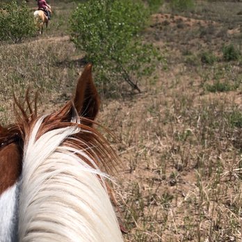 Pondarosa Inn - Arabian/saddlebred, I very much enjoyed riding - Vacation Rentals Near Me - Hutchinson, Kansas