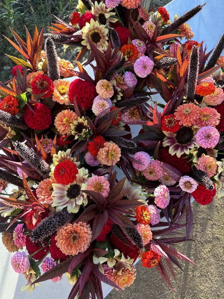 CASSIOPEIA FARM TEMP. CLOSED 18 Photos 9112 Thaxton Rd, Austin