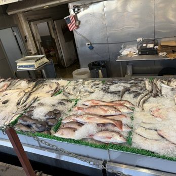 Jessie Taylor Seafood - EVEN MORE FISH OUTSIDE - Seafood Markets Near Me - Washington, DC, District of Columbia Jessie Taylor Seafood - EVEN MORE FISH OUTSIDE - Seafood Markets Near Me - Washington, DC, District of Columbia