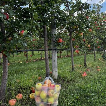 Peck And Bushel Fruit Company - Pick Your Own Farms Near Me - Colgate, Wisconsin Peck And Bushel Fruit Company - Pick Your Own Farms Near Me - Colgate, Wisconsin
