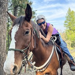 Montana Horse Works - Horse hugs