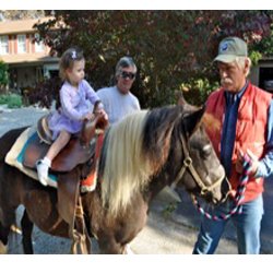 Mike's Party Ponies
