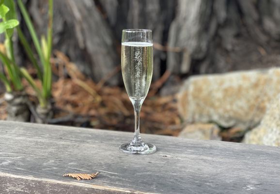 Korbel Winery by null