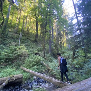 Macleay Park - Parks Near Me - Portland, Oregon Macleay Park - Parks Near Me - Portland, Oregon