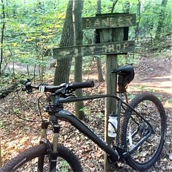 Holdridge Lakes Mountain Bike Trail - Danger 3 Foot Drop
