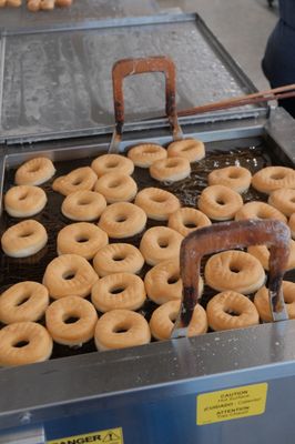 Dutch Girl Donuts by null