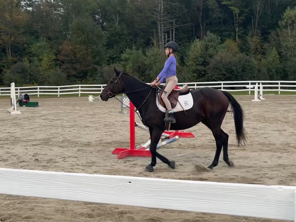 Hillside Meadows Equestrian Center - equestrian in Grafton, MA