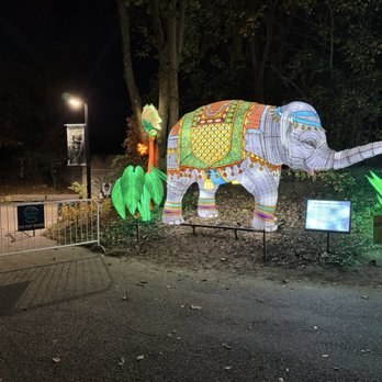 Boston Lights: A Lantern Experience - Local Flavor Near Me - Boston, Massachusetts