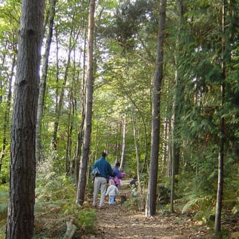 Wilderness Wood - from website - Local Flavor Near Me - Uckfield, ESX