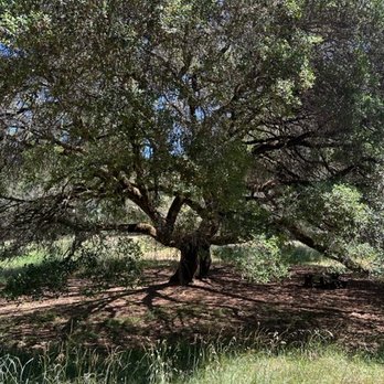 The Land - Venues & Event Spaces Near Me - Philo, California