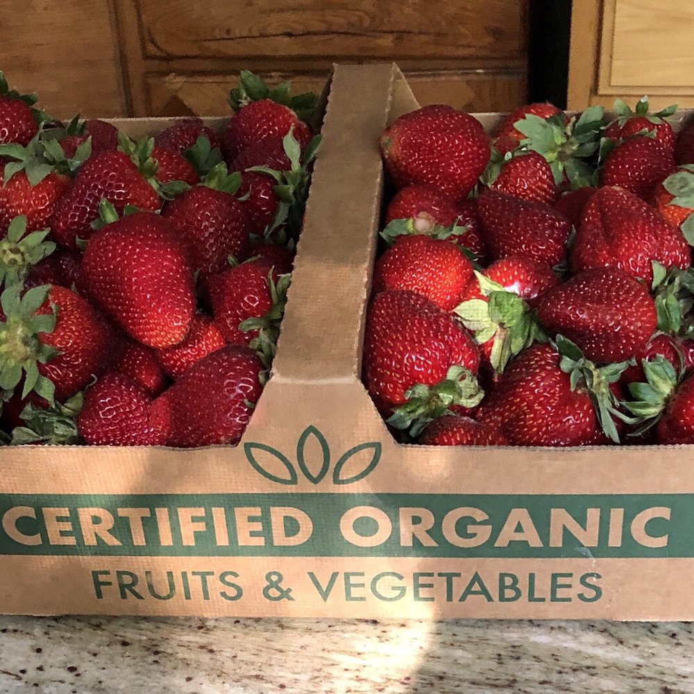 Brothers Ranch - I picked these beautiful organic strawberries and boy they were absolutely scrumptious. - Farmers Market Near Me - Watsonville, California Brothers Ranch - I picked these beautiful organic strawberries and boy they were absolutely scrumptious. - Farmers Market Near Me - Watsonville, California