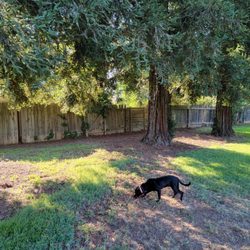 Riviera East Park