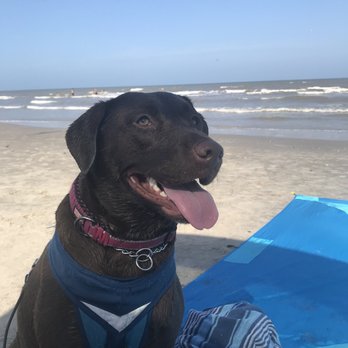 Padre Balli Surf Park - Beaches Near Me - Corpus Christi, Texas