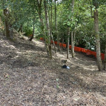 Evergreen Landscaping Services - Landscaping Near Me Evergreen Landscaping Services - Landscaping Near Me