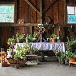 This was the display by Poppy's Nursey. Located at the Upper Lake horticultural show