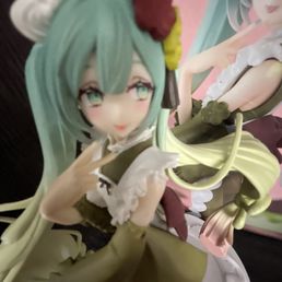 the figure