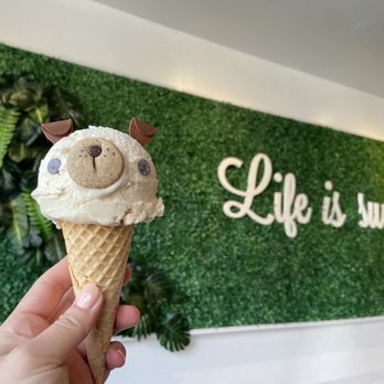 Eli's Ark - Dog - C'mon cinnamon gelato - Gelato Near Me - Chicago, Illinois Eli's Ark - Dog - C'mon cinnamon gelato - Gelato Near Me - Chicago, Illinois