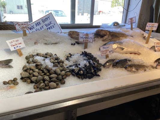 Key City Fish Company by null