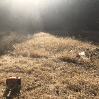 Clean Cut Grass - Needs work - Lawn Services Near Me Clean Cut Grass - Needs work - Lawn Services Near Me