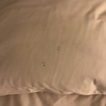 South Seas - Stained pillow case on check in - Resorts Near Me - Captiva, Florida