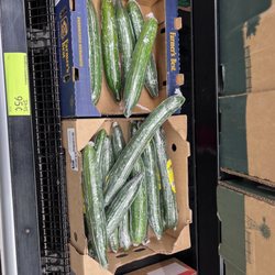 ALDI - Mushy English Cucumber