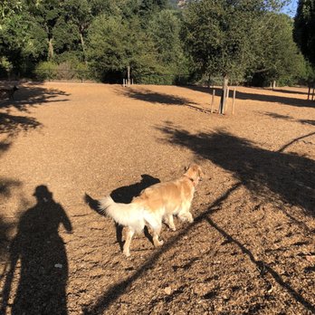 Cubby's Dog Park At Bernal - Dog Parks Near Me - Pleasanton, California Cubby's Dog Park At Bernal - Dog Parks Near Me - Pleasanton, California