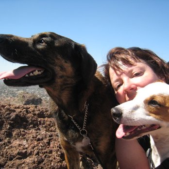 Four Paws Adventures - Pita, Mel, and Otis - Telegraph Trail - Dog Walkers Near Me