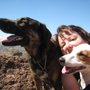 Photo of Four Paws Adventures