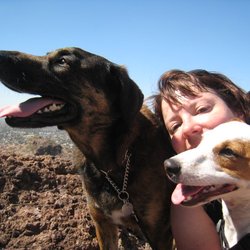 Four Paws Adventures - Pita, Mel, and Otis - Telegraph Trail
