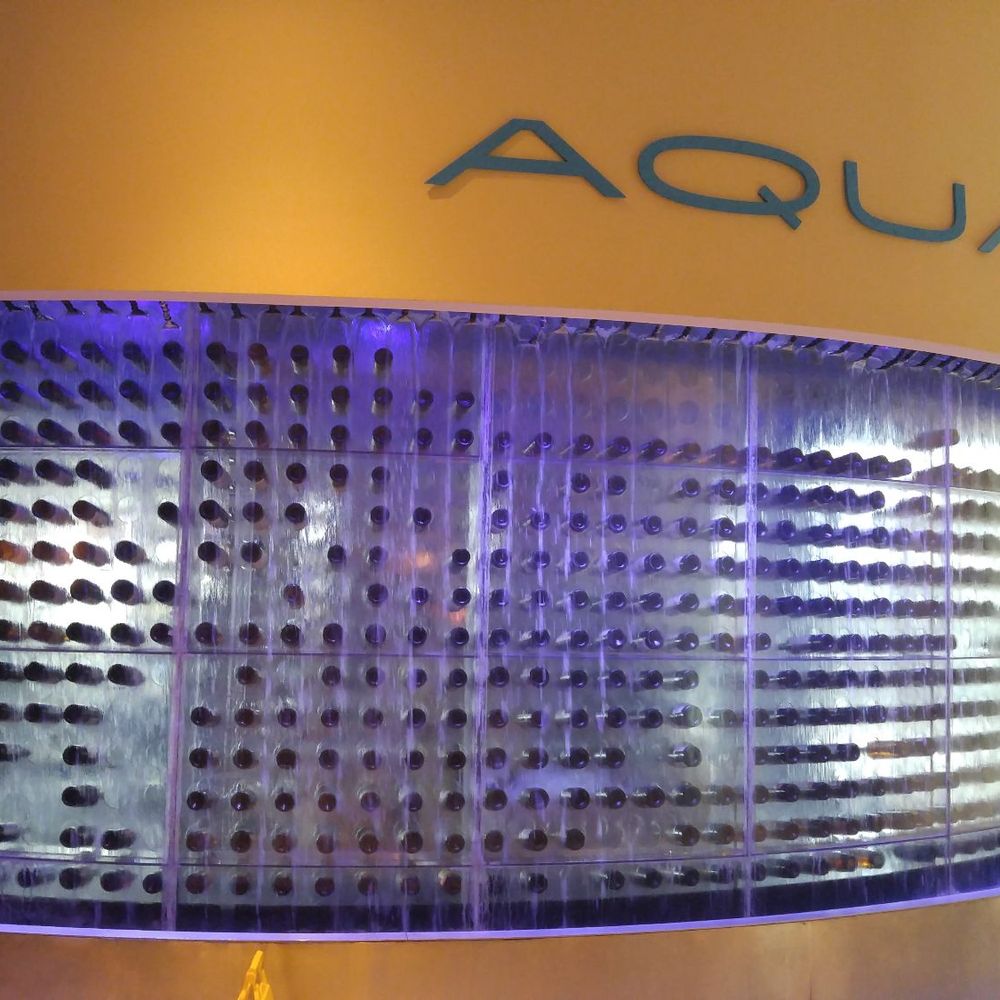 Aqua - Relaxing waterfall before entrance. - Seafood Near Me - Tampa, Florida